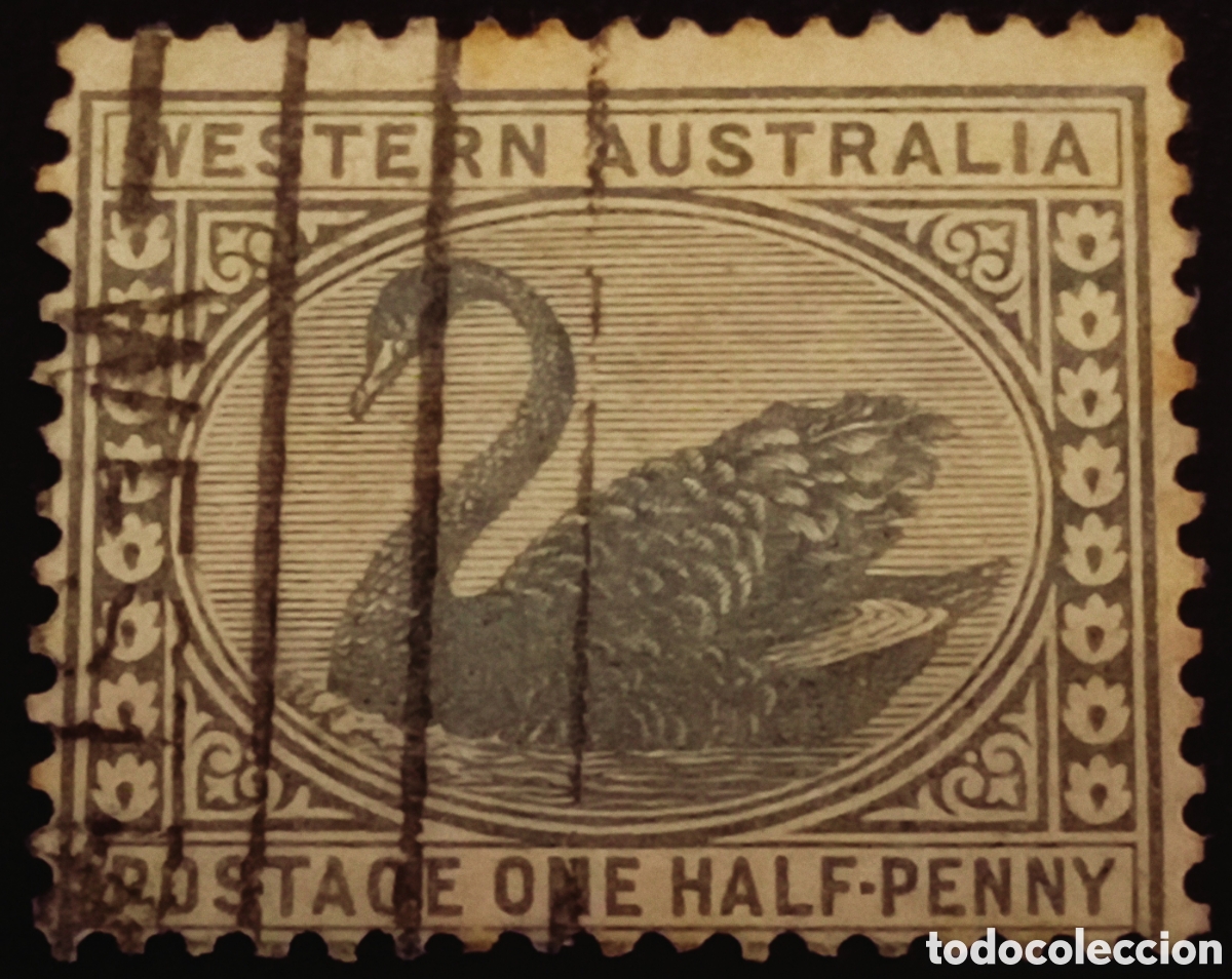 Sellos: Western Australia 1885 - Sello Cisne 1/2d Verde - Cat. Scott #62 / SG #94 - Usado