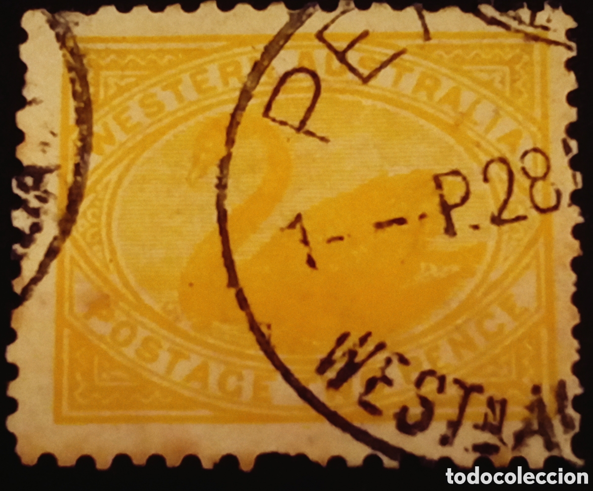 Sellos: Western Australia 1905-12 - 2d Amarillo Cisne - SG 140 / Scott 91 - Usado