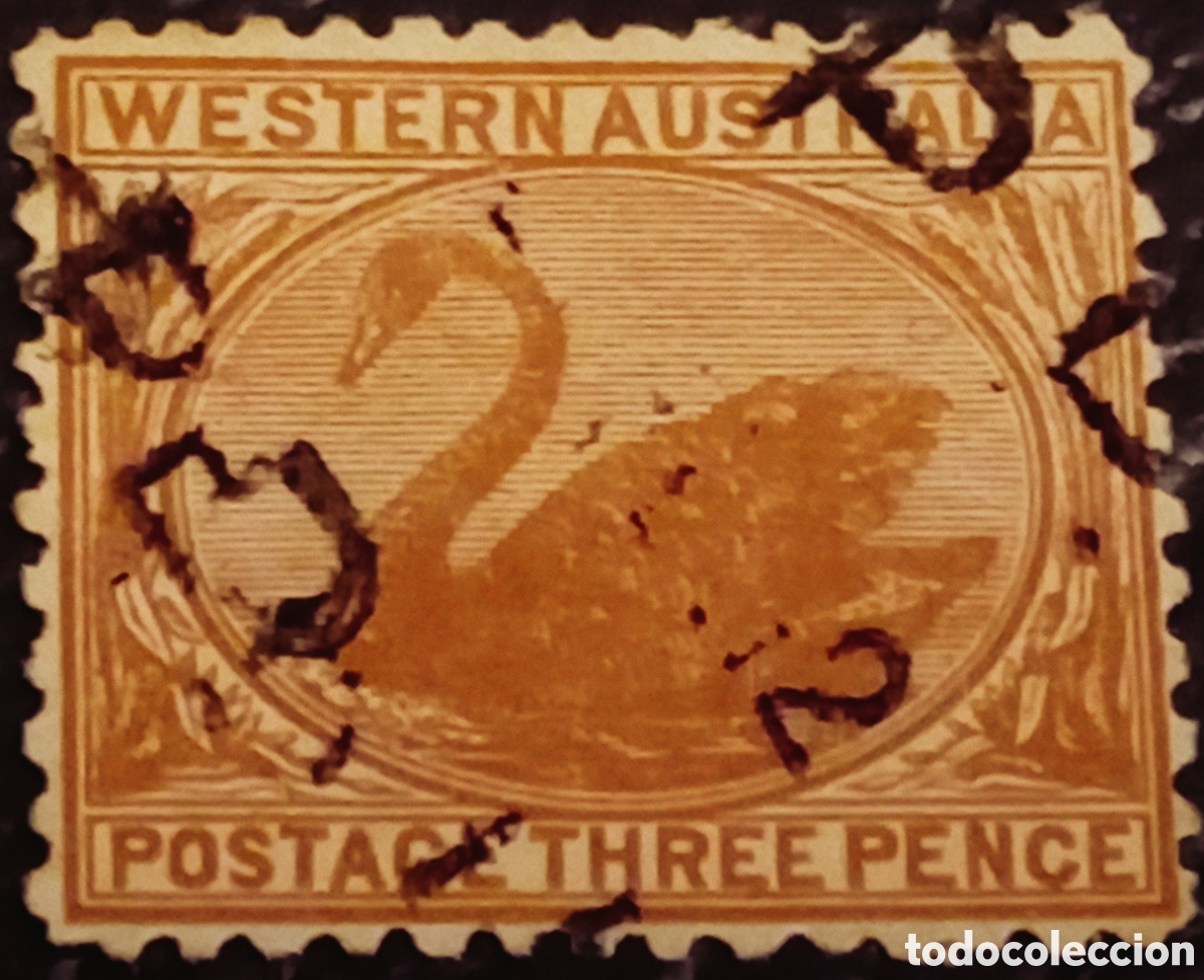 Sellos: Sello Western Australia 1872 - Cisne Negro 3d Marr&oacute;n (Scott #40 / SG #63) - Usado