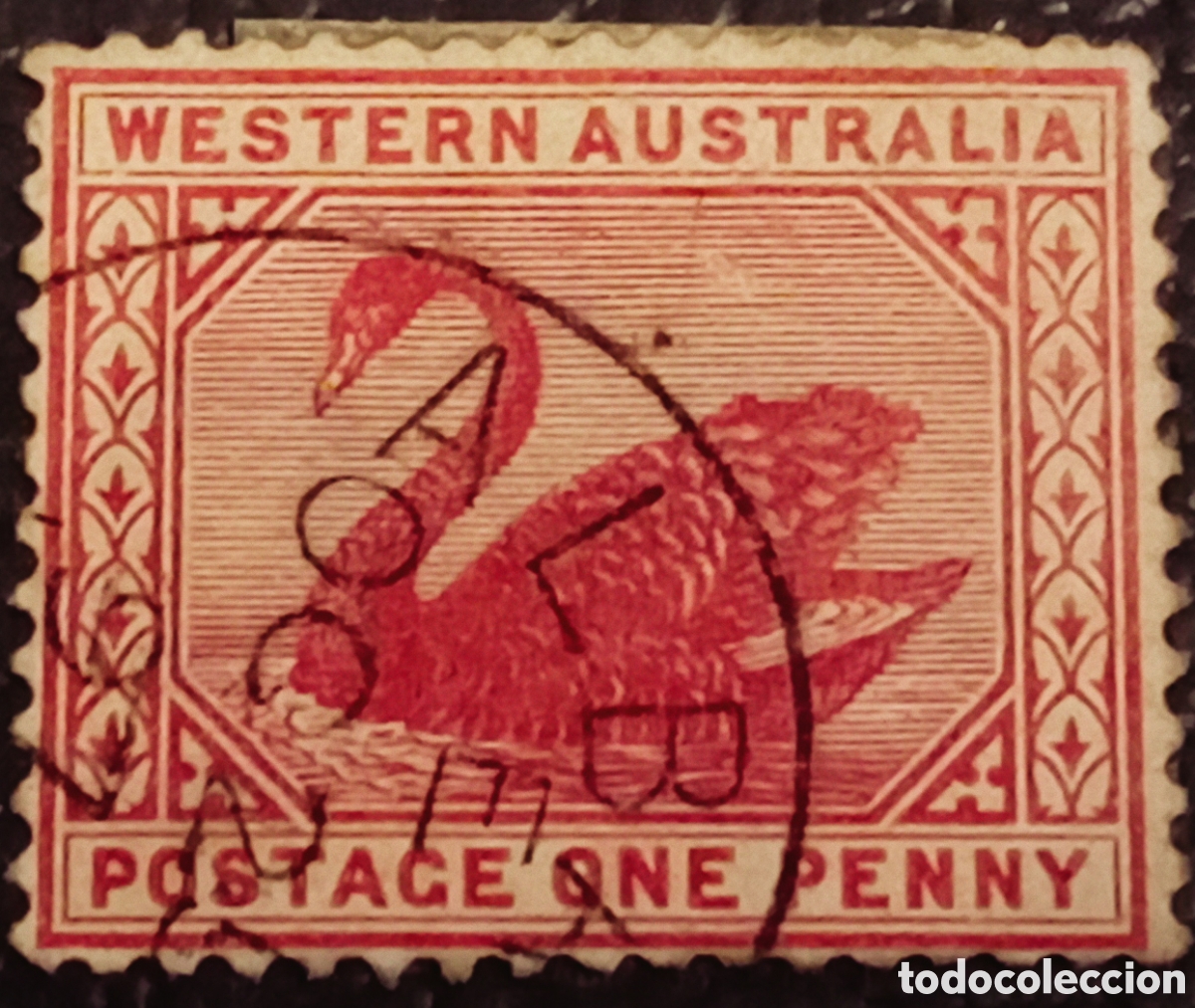 Sellos: Sello Australia Occidental 1890-1902 &rdquo;Cisne&rdquo; 1d Rojo - SG 95 / Scott 62 - Usado