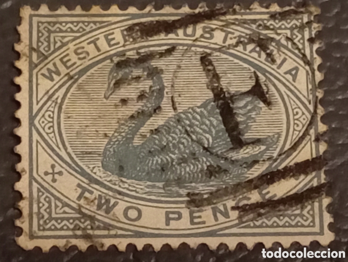 Sellos: Sello Australia Occidental Sc # 63. Usado