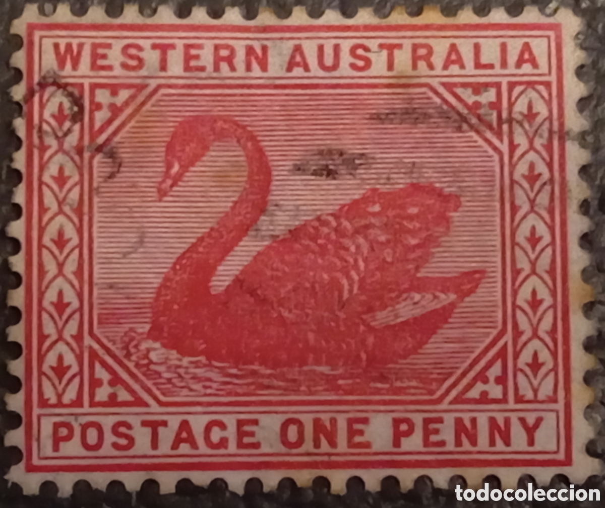 Sellos: Sello Australia Occidental 1890-1902 &rdquo;Cisne&rdquo; 1d Rojo - SG 95 / Scott 62