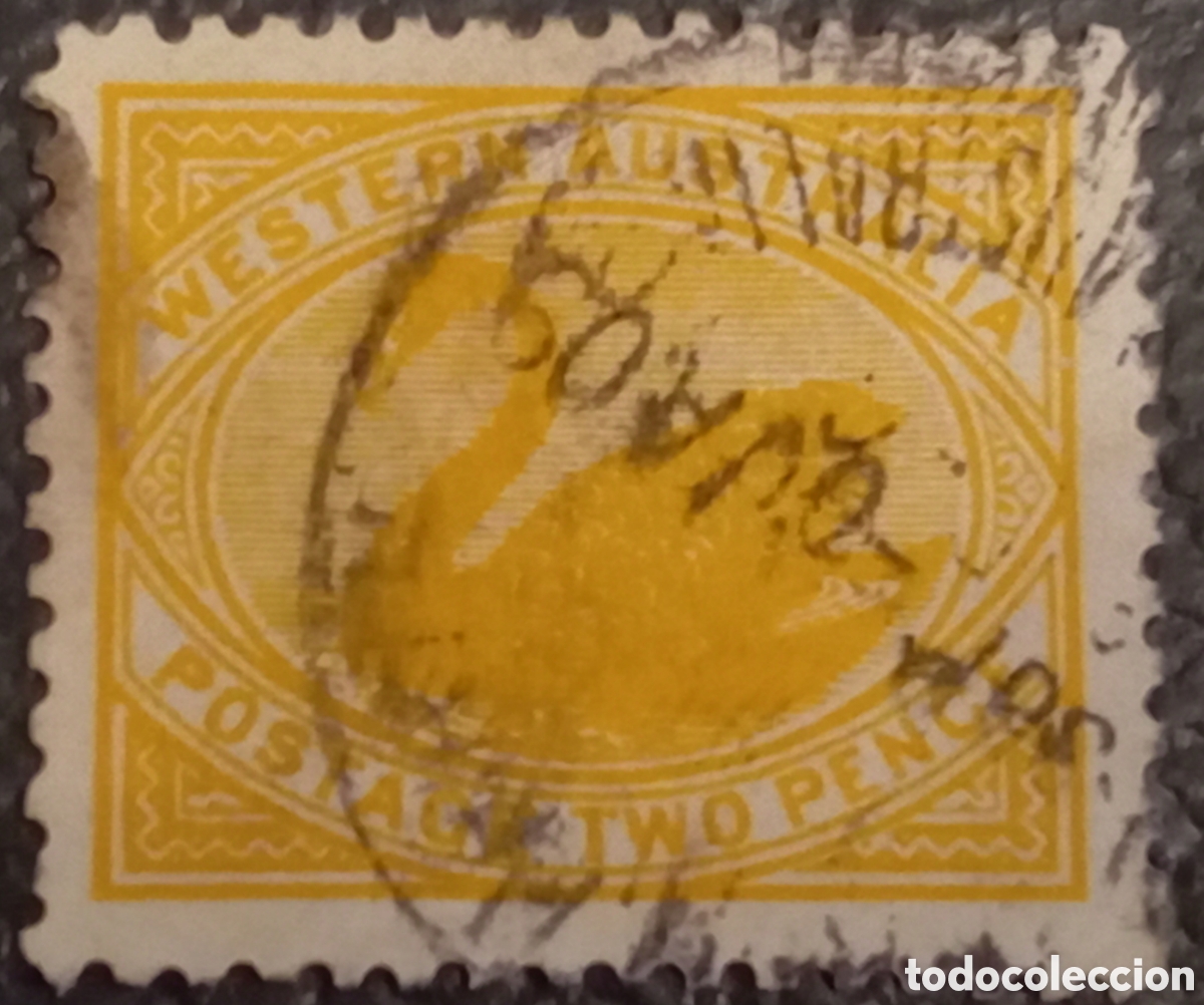 Sellos: 1899 Western Australia 2d Yellow Swan - Scott #74 / SG #114 - Usado