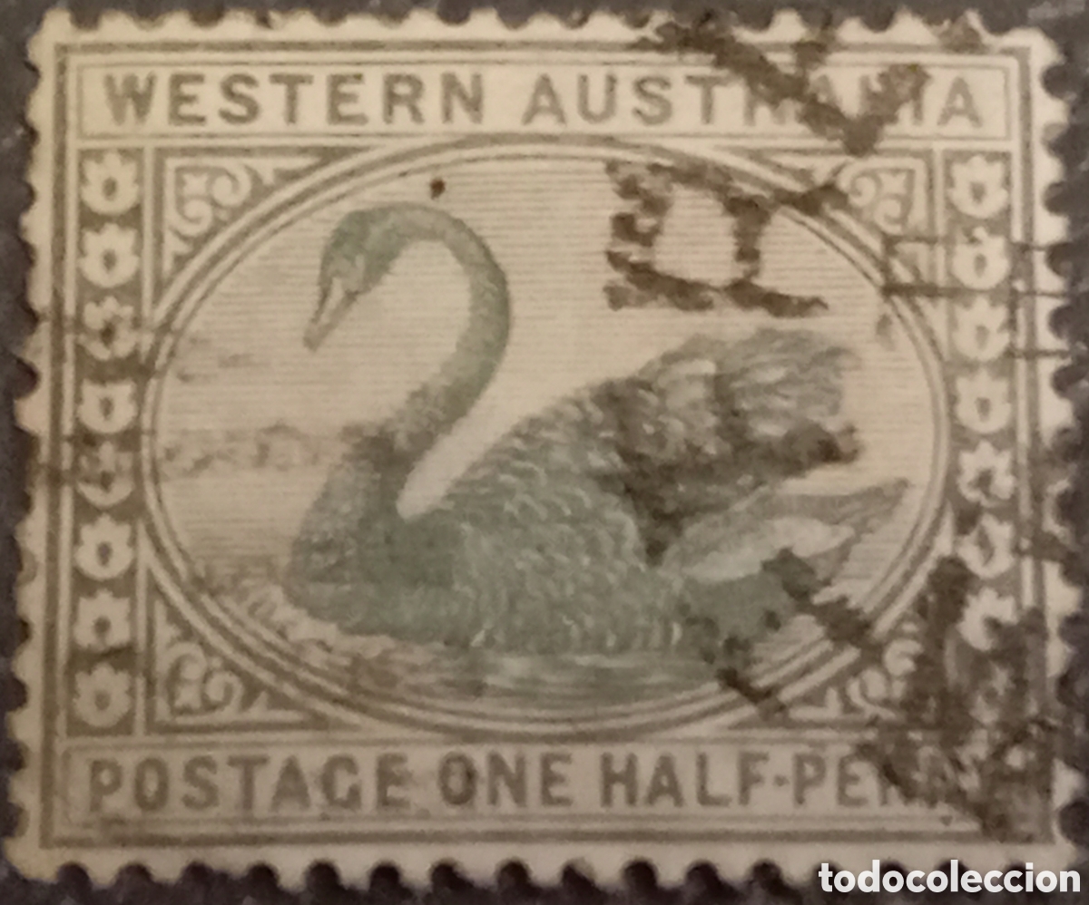 Sellos: Sello Australia Occidental 1885-1893 - &frac12;d Verde Cisne (Scott #62 / SG #94) - Usado&rdquo;