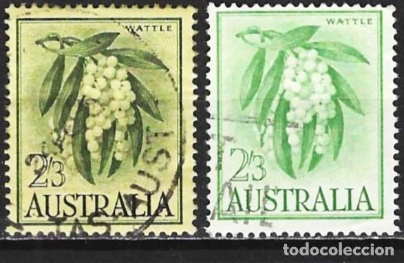 Sellos: Australia 1959/64 - Mi 300 y 300 bx - YT 258 y 295 - Flores de acacia