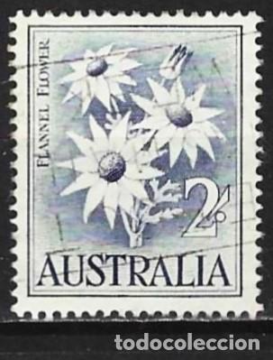 Sellos: Australia 1959 - Mi 299 - YT 257 - Flores de franela