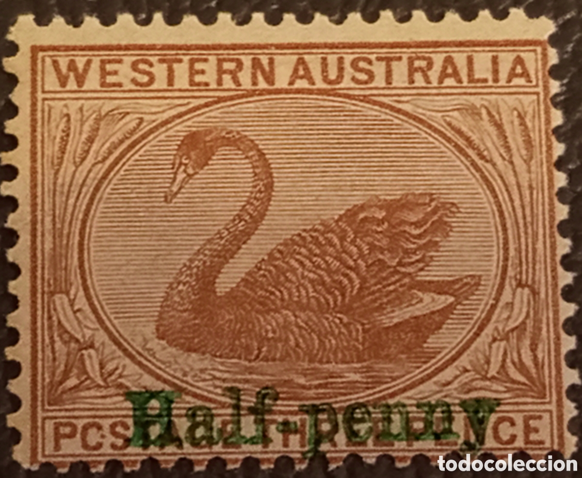 Sellos: Sello Australia Occidental 1895 Cisne Medio Penique sobre 3d MH SG110