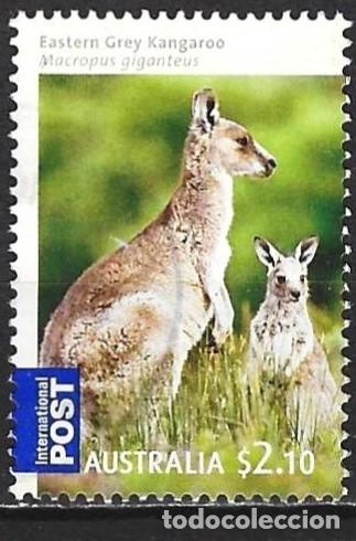 Sellos: Australia 2009 - Mi 3225 - YT 3099 - Fauna : Canguros ( Dentado 14&frac12;x 14 )