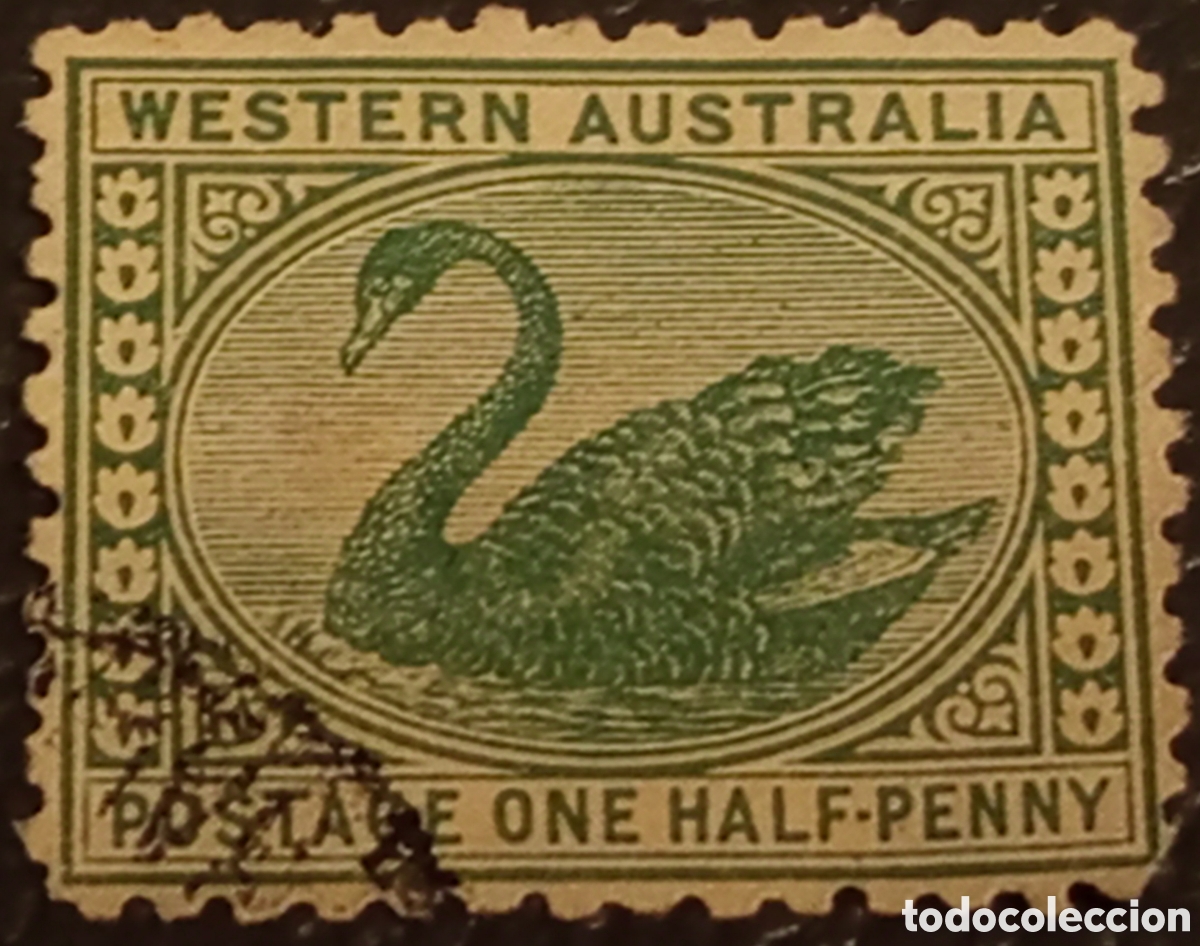 Sellos: Sello Western Australia 1885 - Cisne 1/2d Verde Usado (Yvert 42 / Scott 94)