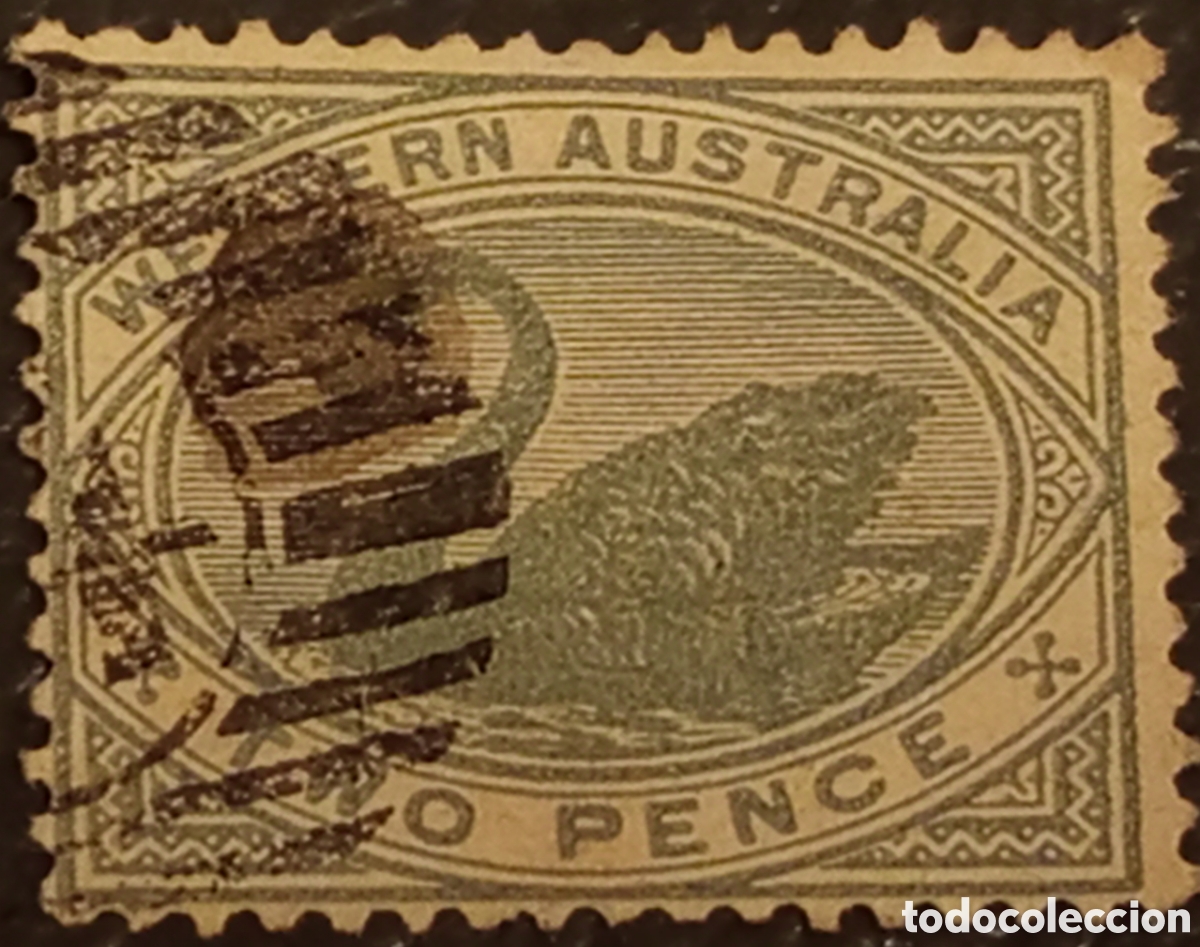 Sellos: Sello Western Australia 1885 Cisne 2d Gris Usado - SG 96a