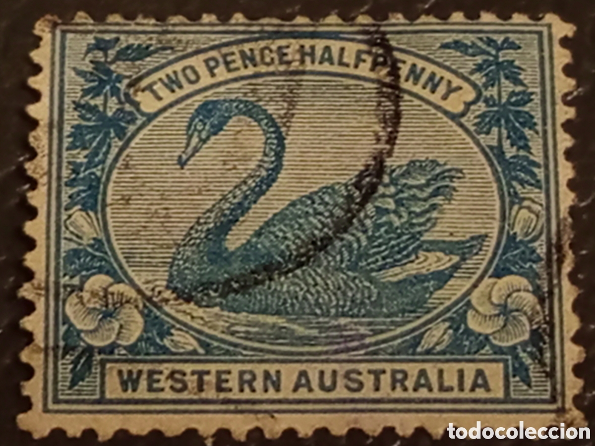 Sellos: Sello Australia Occidental 1892 Cisne 2&frac12;d Azul Usado - SG 97