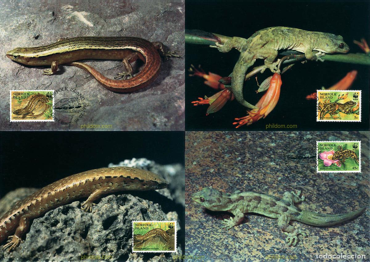 Sellos: 7426 MNH NORFOLK 1996 SKINK Y GECO DE LA ISLA DE LORD HOWE