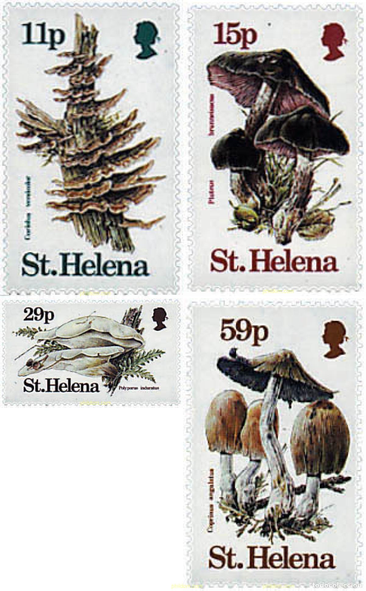 Sellos: 35875 MNH SANTA ELENA 1983 SETAS