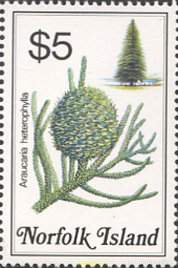 Sellos: 340548 MNH NORFOLK 1984 FLORA