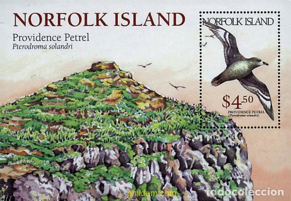 Sellos: 41889 MNH NORFOLK 1999 AVES