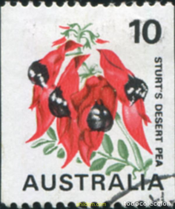Sellos: 790167 USED AUSTRALIA 1975 FLOR