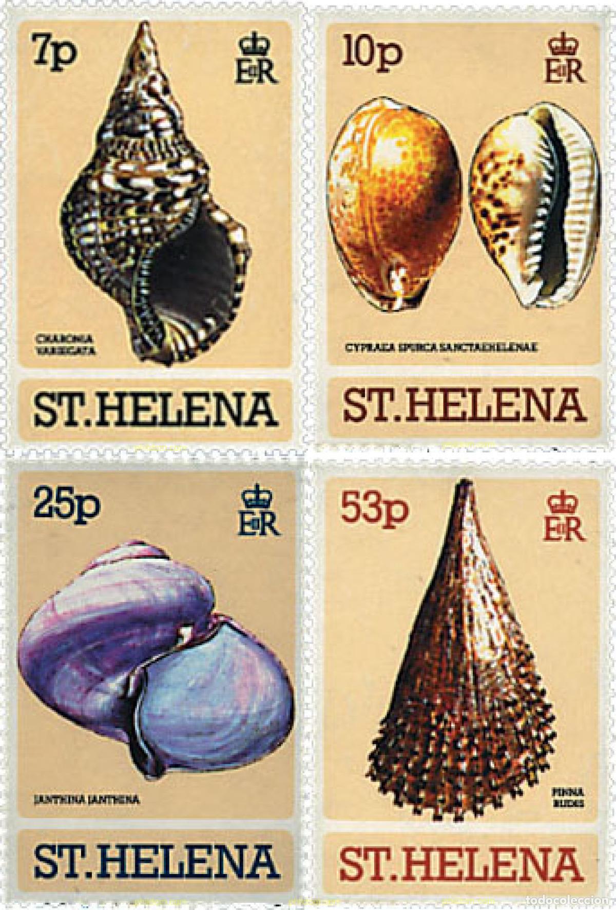 Sellos: 52864 MNH SANTA ELENA 1981 CONCHAS