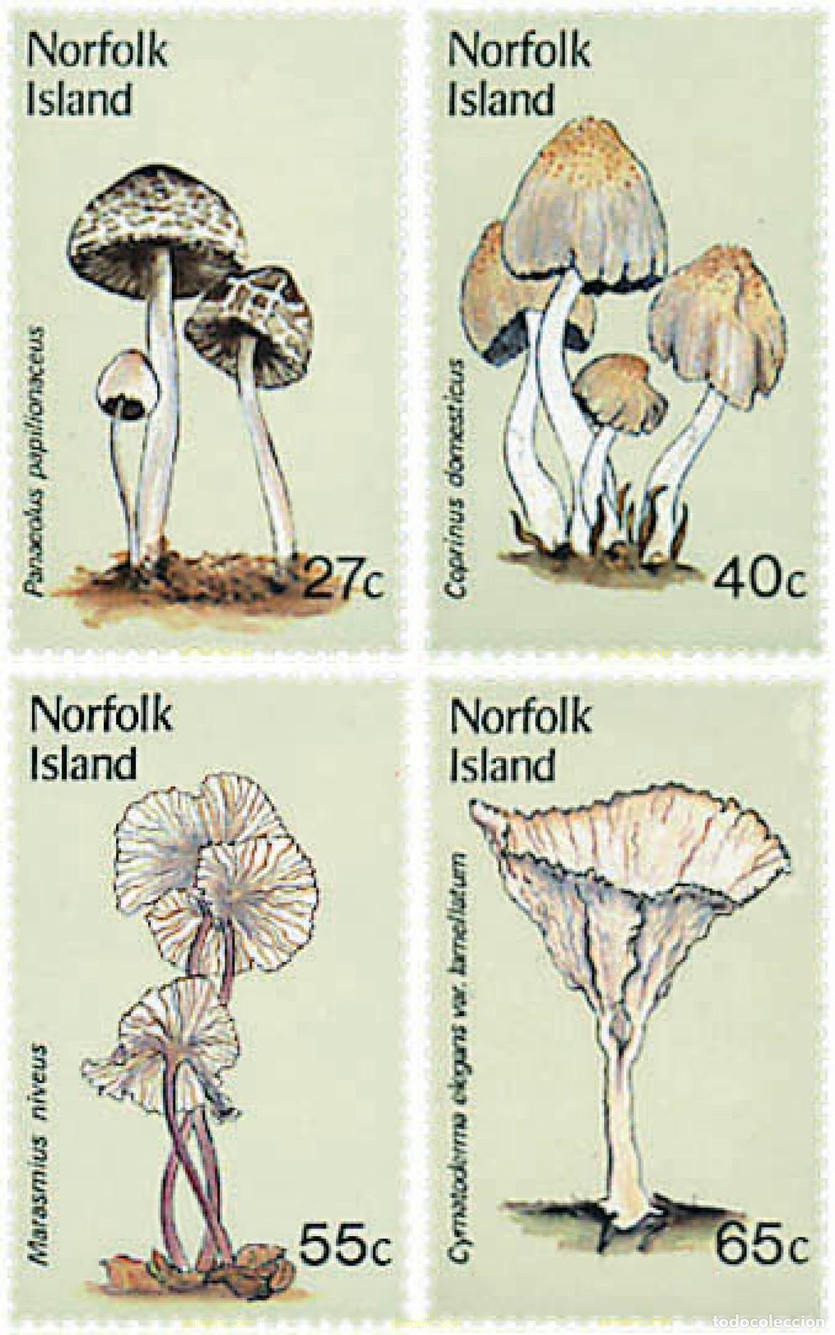 Sellos: 36180 MNH NORFOLK 1983 SETAS - Foto 1