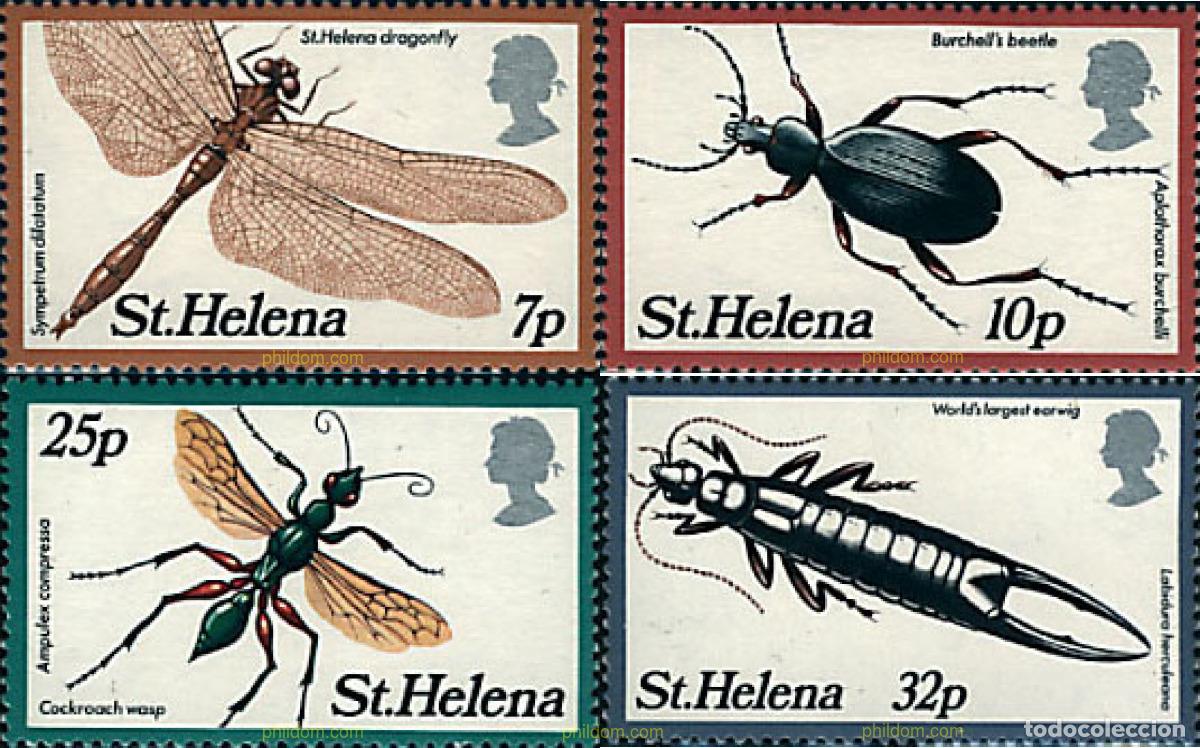 Sellos: 29356 MNH SANTA ELENA 1982 INSECTOS
