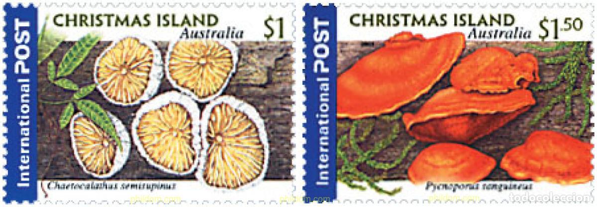 Sellos: 87736 MNH CHRISTMAS 2001 FLORA