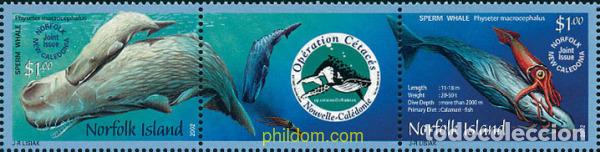 Sellos: 157122 MNH NORFOLK 2002 BALLENAS