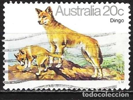 Sellos: Austral&iacute;a 1980 - Mi 700 - YT 689 - Perro : Dingo