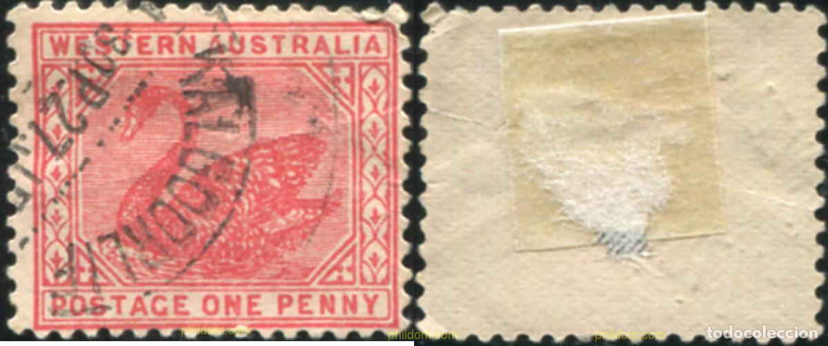 Sellos: 791118 USED AUSTRALIA OCCIDENTAL 1905 CISNE NEGRO