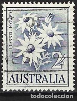 Sellos: Australia 1959 - Mi 299 - YT 257 - Flores de franela