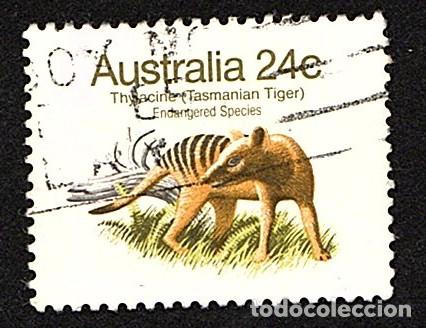 Sellos: Australia. Fauna. Tigre de Tasmania. 1981. YT-748. usado