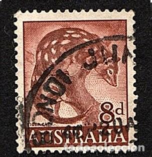 Sellos: Australia. Quol de cola manchada. 1959-62. YT-253b. usado