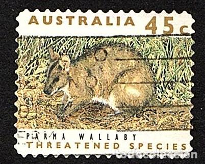 Sellos: Australia. Especie Amenazada. 1992. YT-1249a. usado