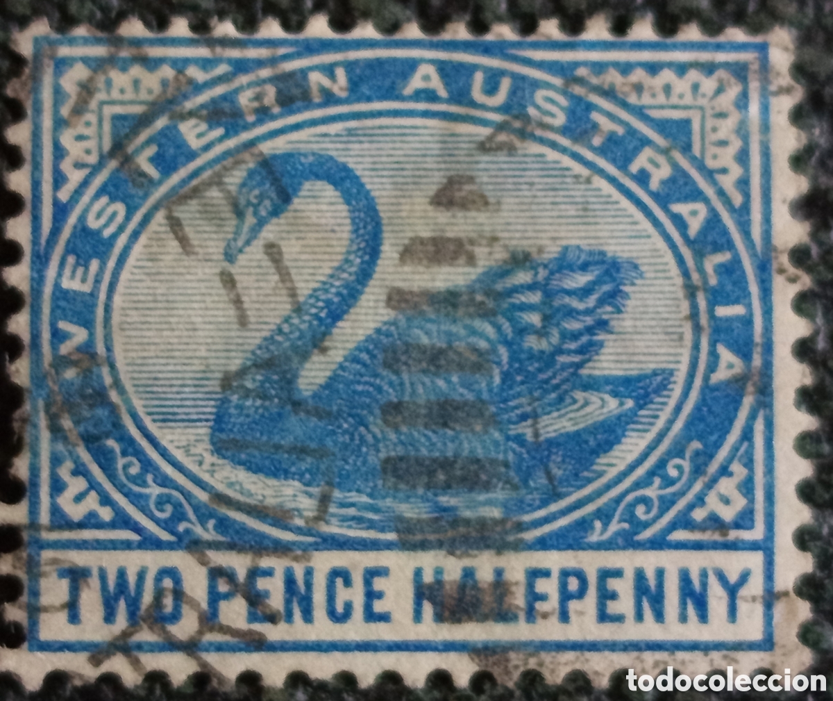 Sellos: Sello Australia Occidental 1892 Cisne 2&frac12;d Usado (Scott #64 / SG #97a)