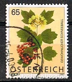 Sellos: Austria 2719, Viburnum opulus usado - Foto 1