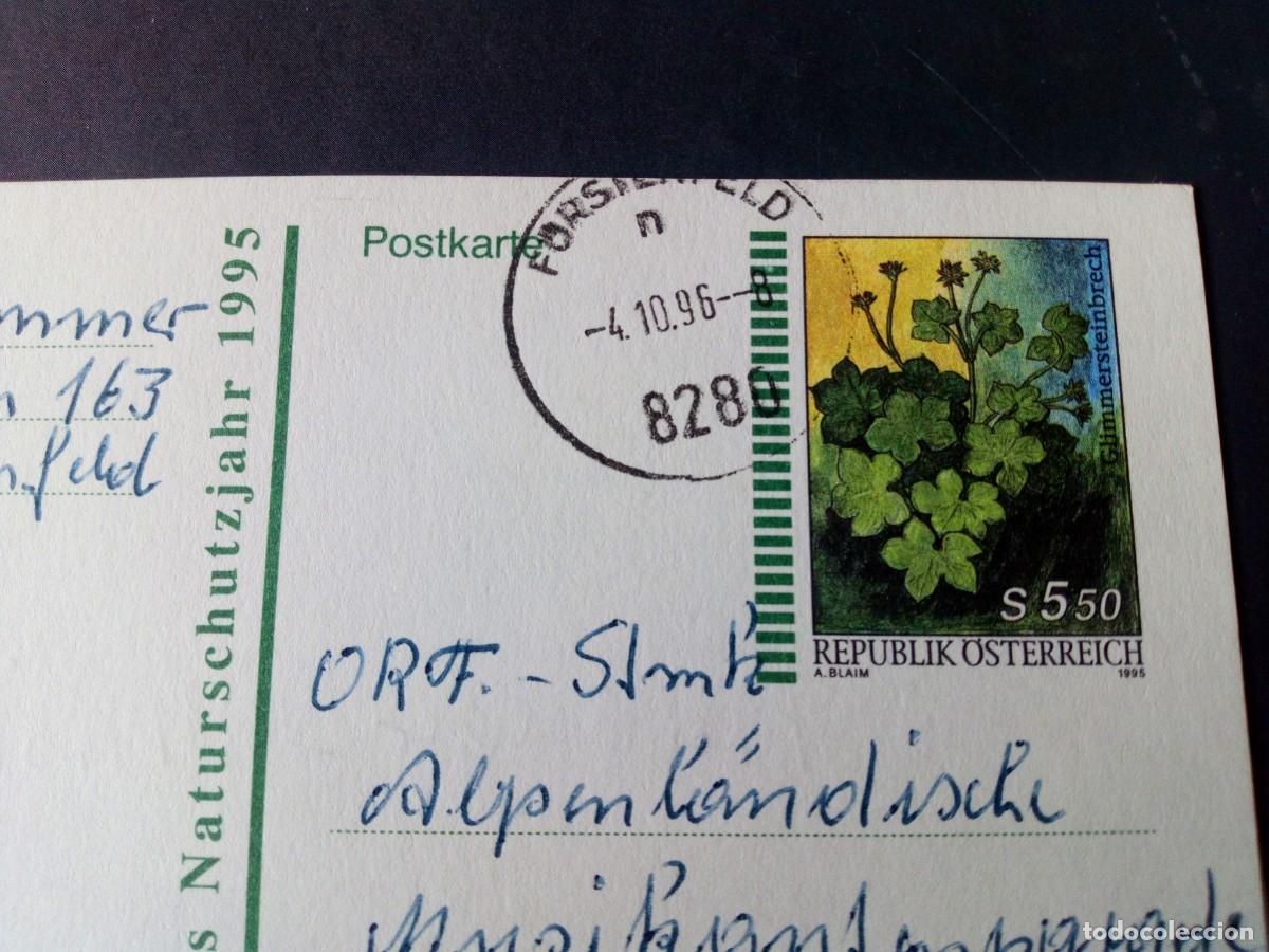 Sellos: AUSTRIA 1996, ENTERO POSTAL, FLORES - Foto 2
