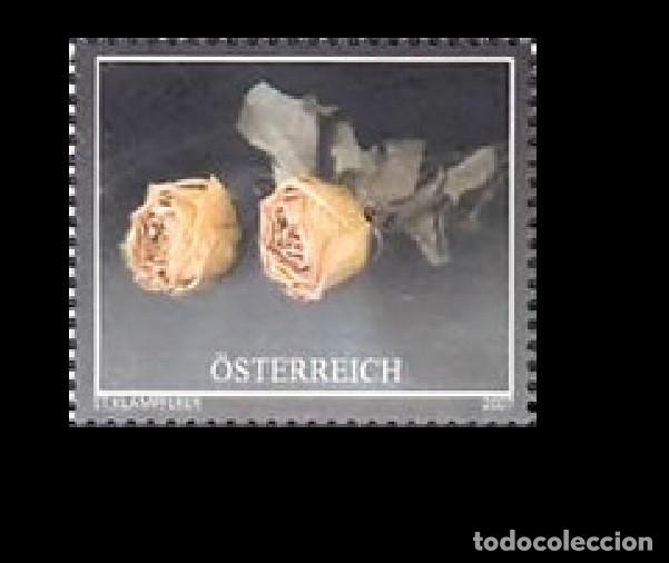 Sellos: Austria 2007 - Sello de duelo mnh** - Foto 1