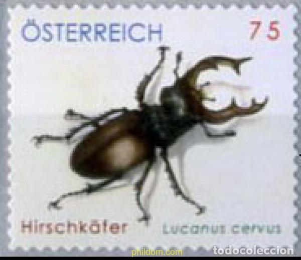 Sellos: 207120 MNH AUSTRIA 2007 ESCARABAJO - Foto 1
