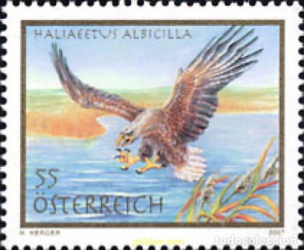 Sellos: 210988 MNH AUSTRIA 2007 AVE - Foto 1