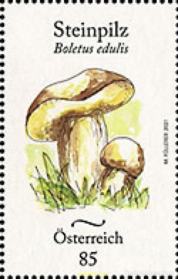 Sellos: 655471 MNH AUSTRIA 2021 SETAS - Foto 1