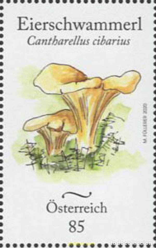 Sellos: 634222 MNH AUSTRIA 2020 - Foto 1