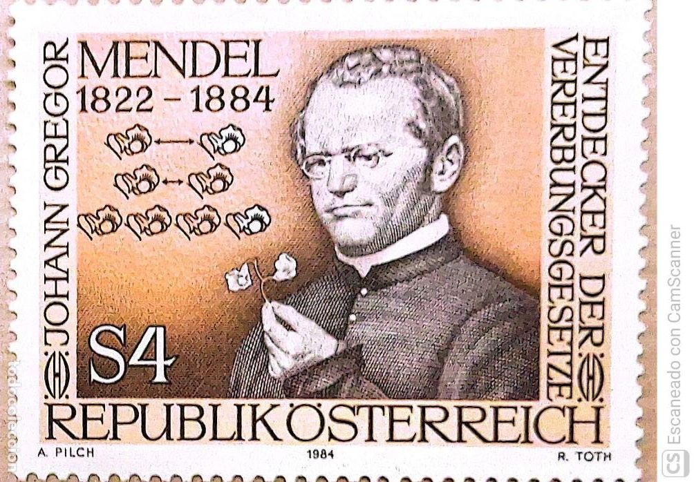 Sellos: Austria. 1592 J. Gregor Mendel, fundador de la gen&eacute;tica. 1984. Sellos nuevos y numeraci&oacute;n Yvert.
