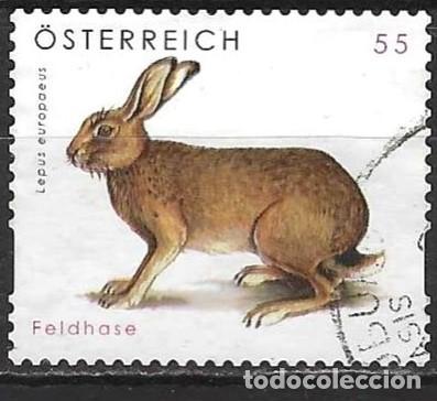 Sellos: Austria 2008 - Mi 2730 - YT 2558 - Fauna : Liebre