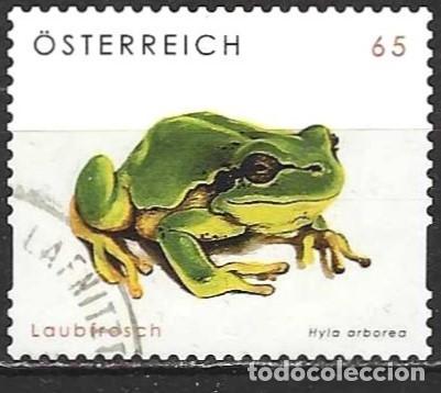Sellos: Austria 2008 - Mi 2716 - YT 2544 - Fauna : Rana