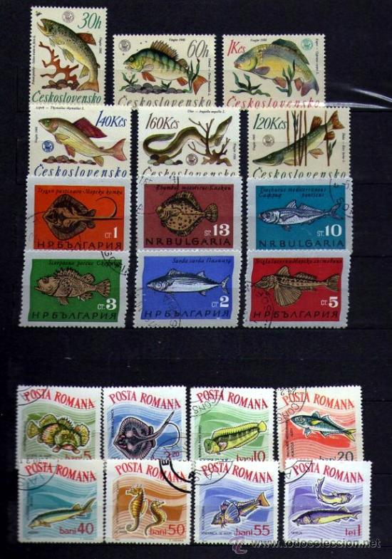 Sellos: Lote de 20 SELLOS de PECES - Foto 1