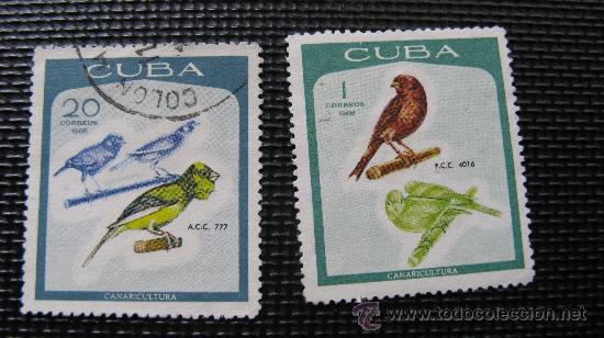 Sellos: 1968 cuba, aves, canarios - Foto 1