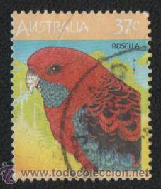 Sellos: Sello Australia ( Rosella ) usado - Foto 1
