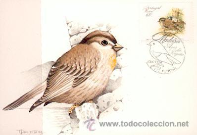 Sellos: Portugal (1844) - Foto 1