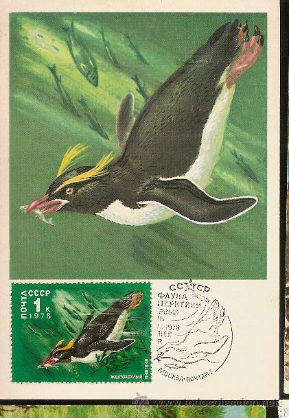 Sellos: Rusia & Postal M&aacute;ximo, Pinguim Imperador 1978 - Foto 1