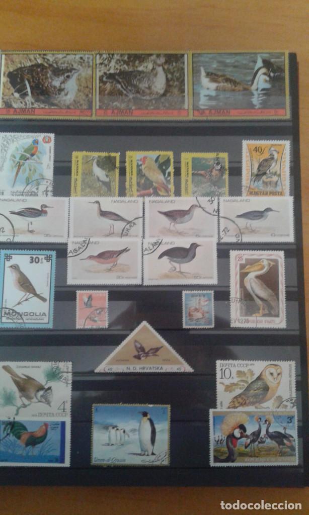 Sellos: AVES.- SELLOS VARIOS - Foto 1
