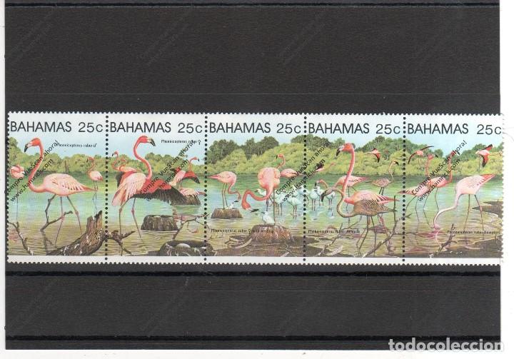 Sellos: BAHAMA N&ordm;  505 AL 509 (**) - Foto 1