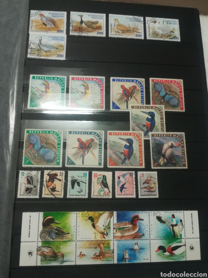 Sellos: Sellos tematica aves - Foto 1